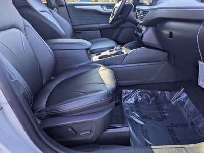 2026 Ford Escape Platinum