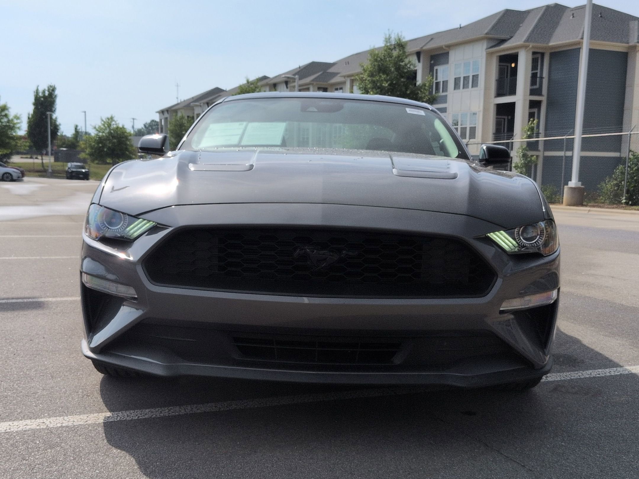 2023 Ford Mustang EcoBoost