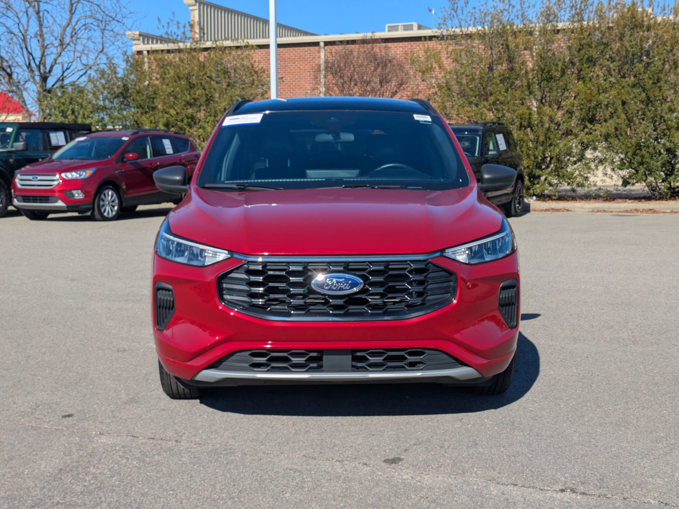 2023 Ford Escape ST-Line