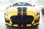 2021 Ford Mustang Shelby GT500