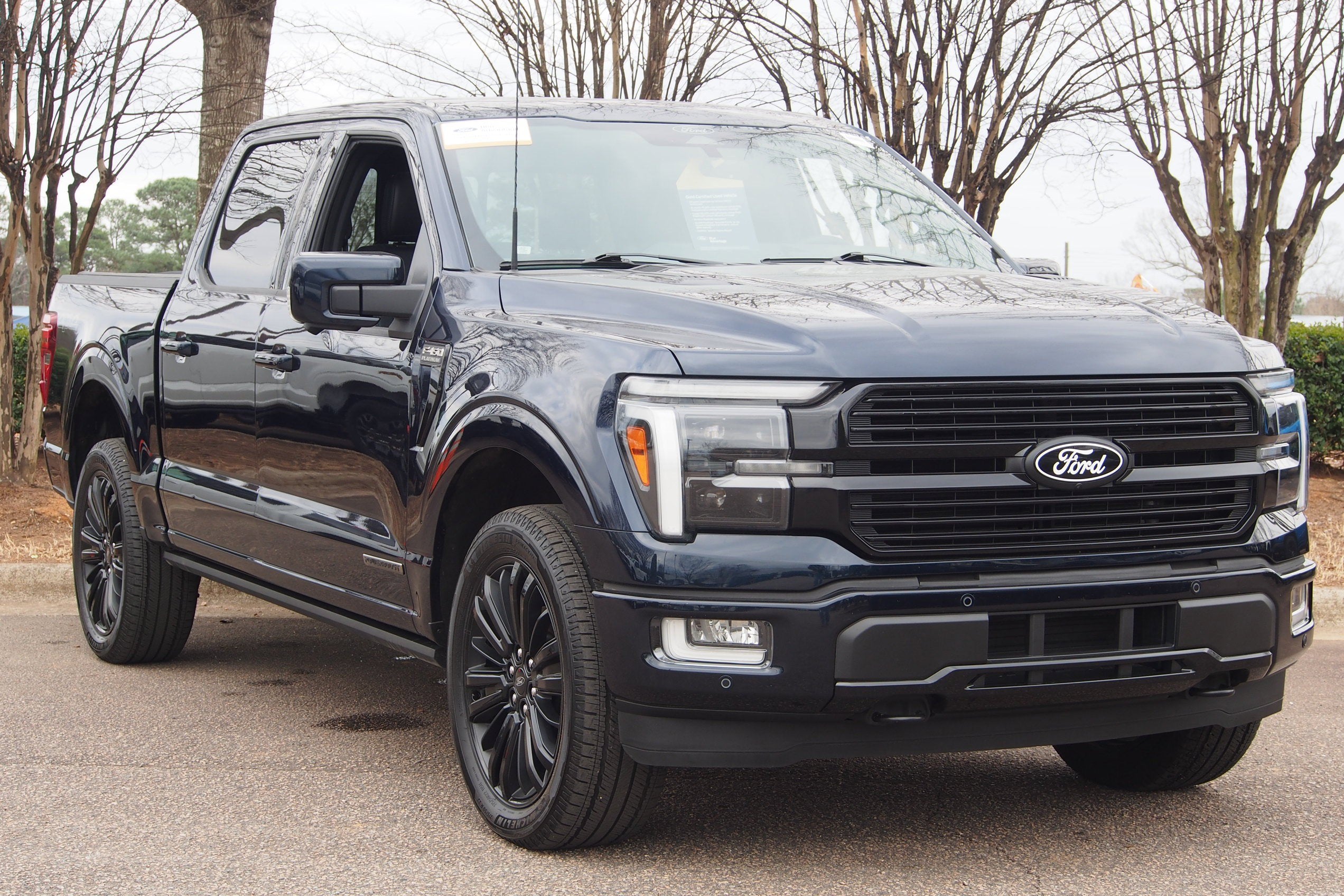 2025 Ford F-150 Platinum