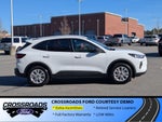 2025 Ford Escape Active - Crossroads Courtesy Demo