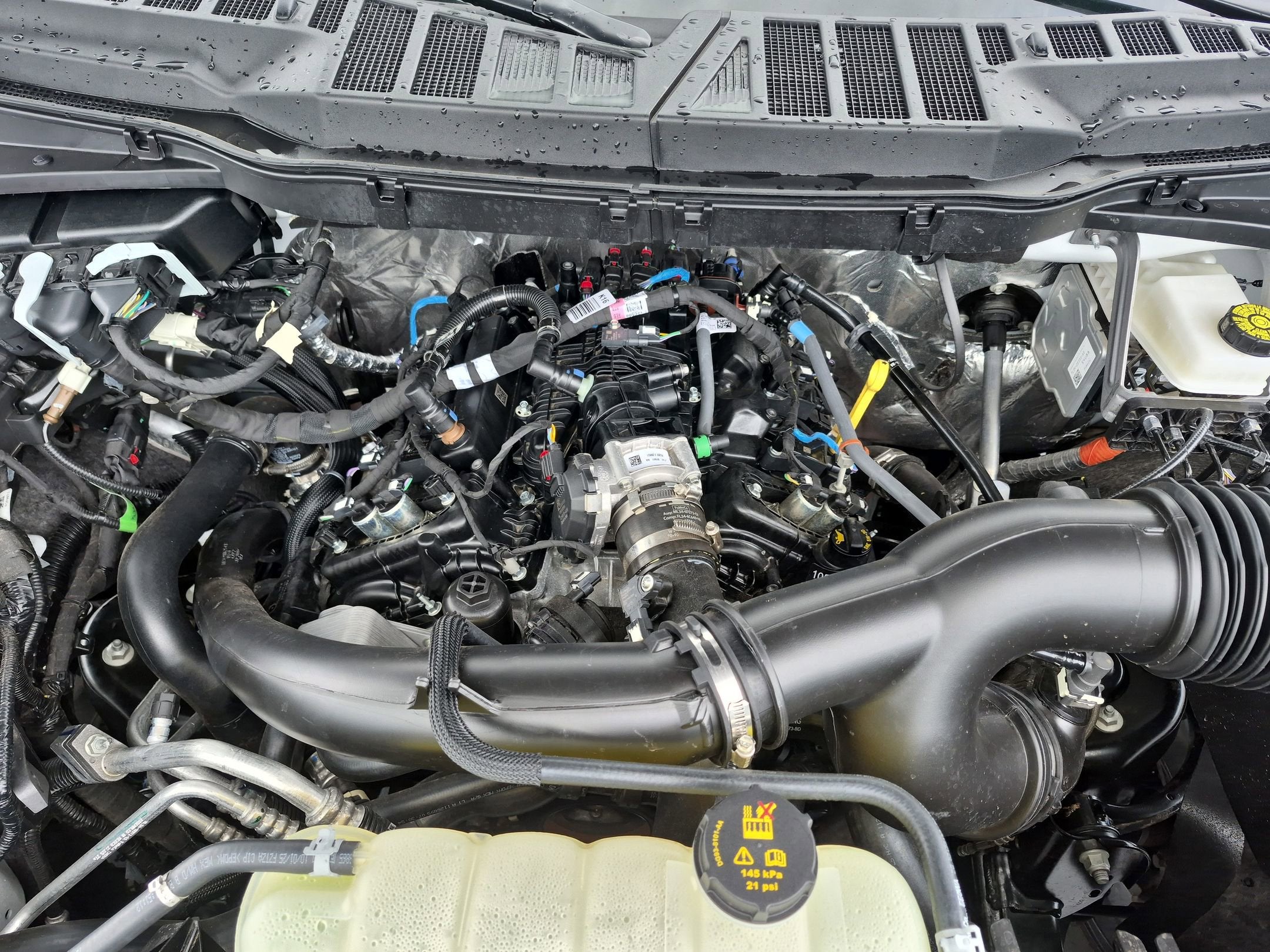 2026 Ford F-150 XLT - Crossroads Courtesy Demo