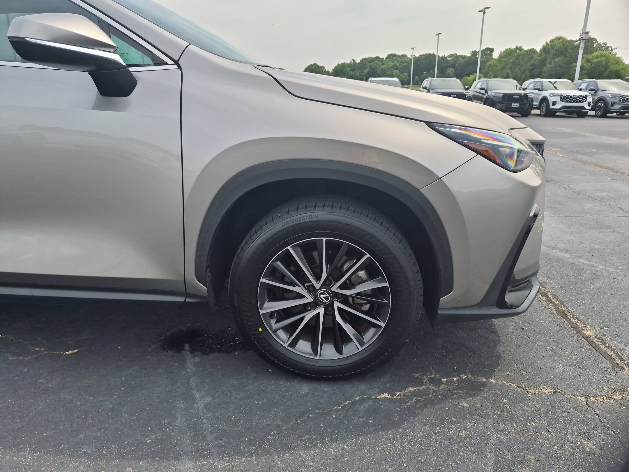 2024 Lexus NX NX 250
