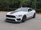 2021 Ford Mustang Mach 1