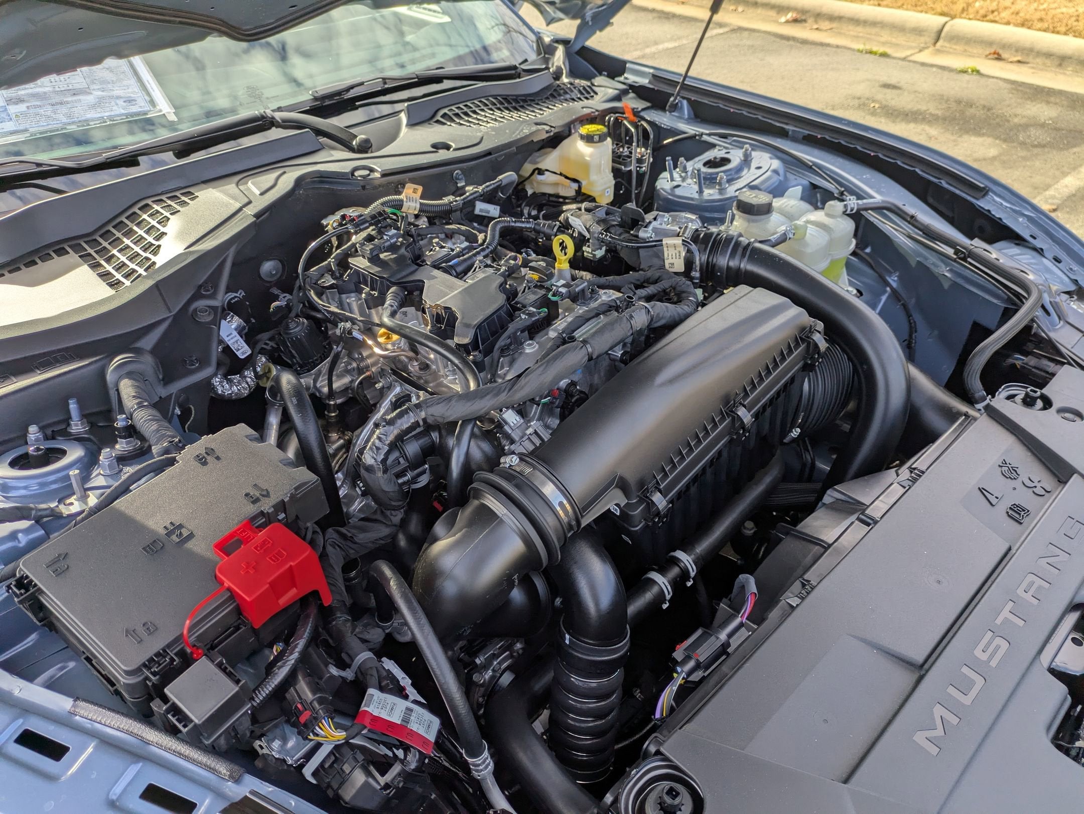 2026 Ford Mustang EcoBoost