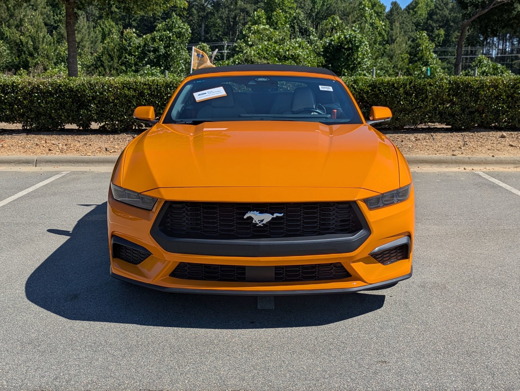 2026 Ford Mustang EcoBoost Premium