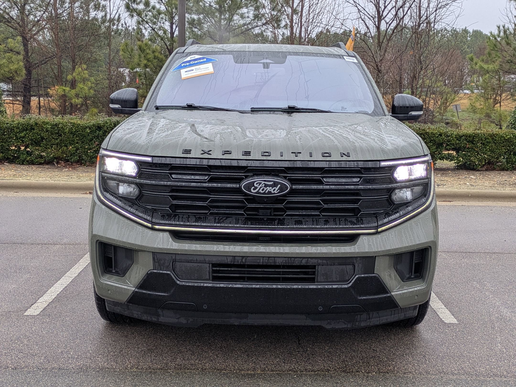 2025 Ford Expedition Platinum