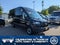 2023 Ford Transit Cargo Van T-250 148" EL Hi Rf 9070 GVWR RWD