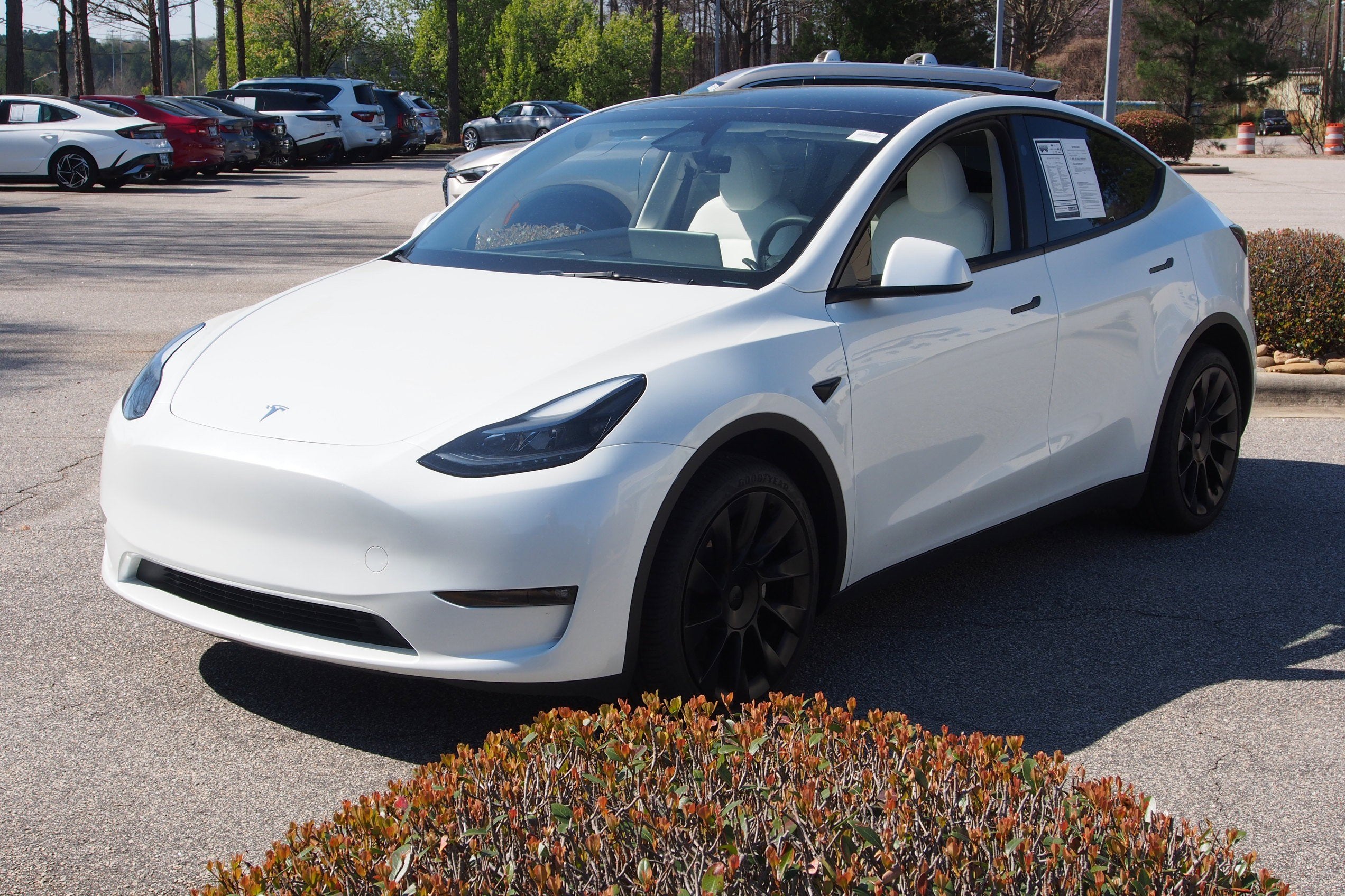 2024 Tesla Model Y Long Range