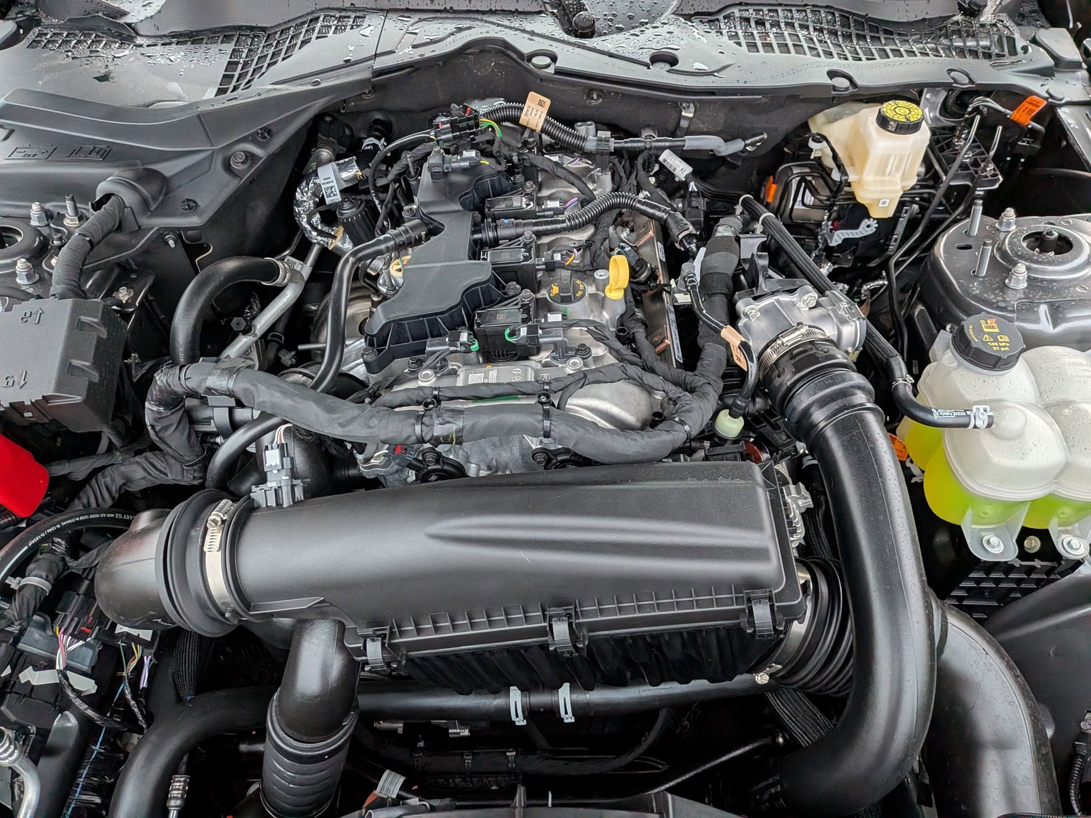 2026 Ford Mustang EcoBoost