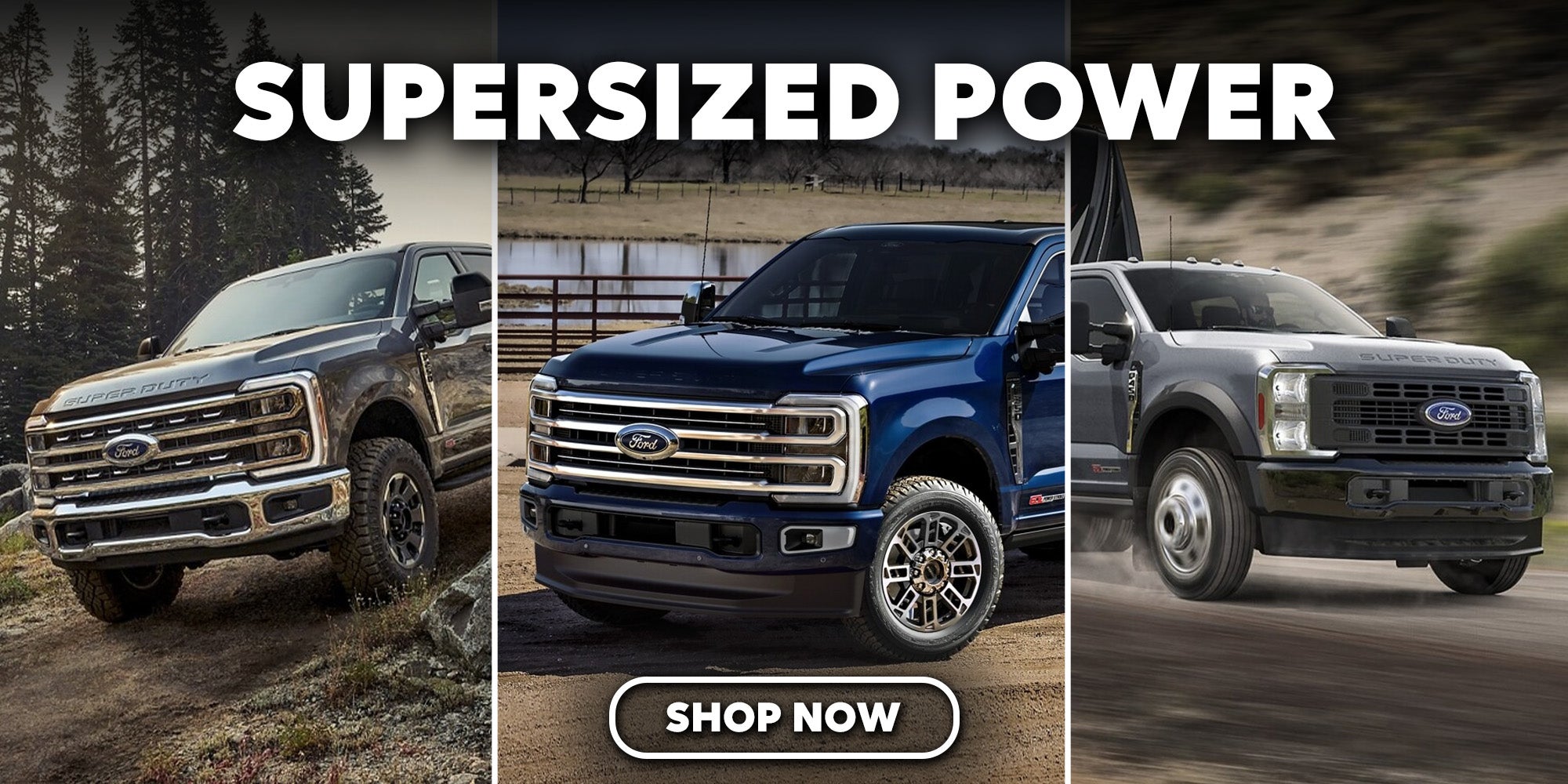 2025 Ford Super Duty Lumberton NC
